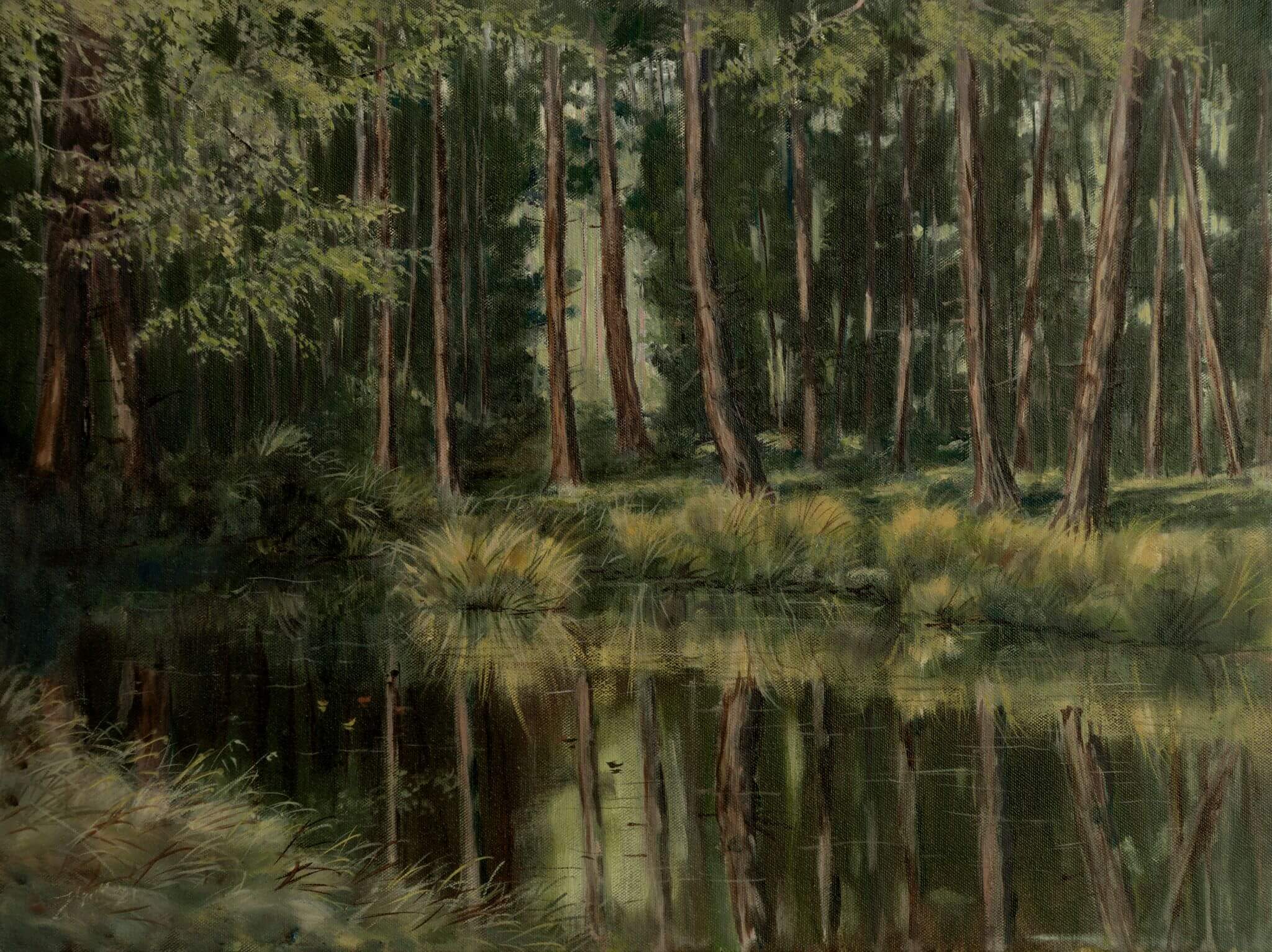 Forest Pool, Timble