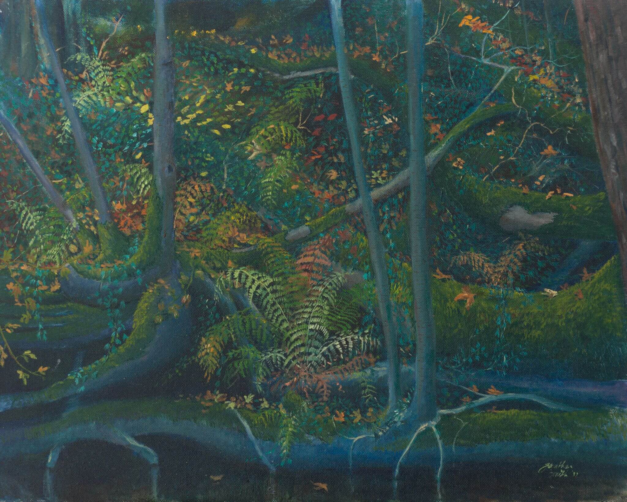 Nature Study 2 – Ferns and Ash