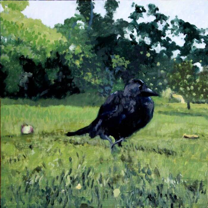 Baby Crow